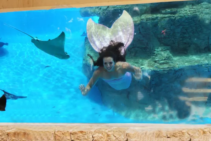 MARINA BARCEL​Ó  Artista  de Circo, Acróbata y Bailarina de sirena
