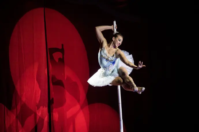 MARINA BARCEL​Ó  Artista  de Circo, Acróbata y Bailarina en el Pole