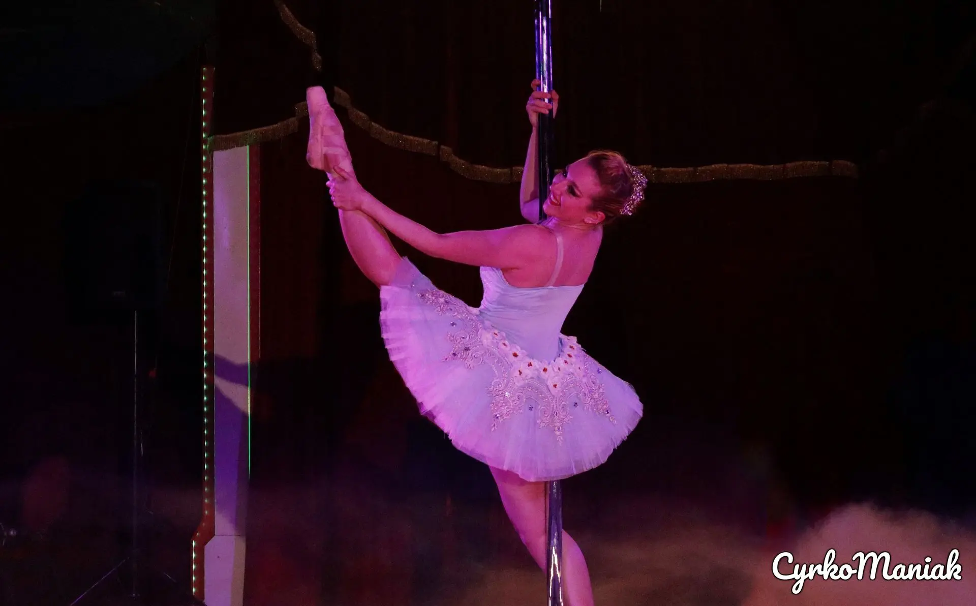 MARINA BARCEL​Ó  Artista  de Circo, Acróbata y Bailarina en el Pole