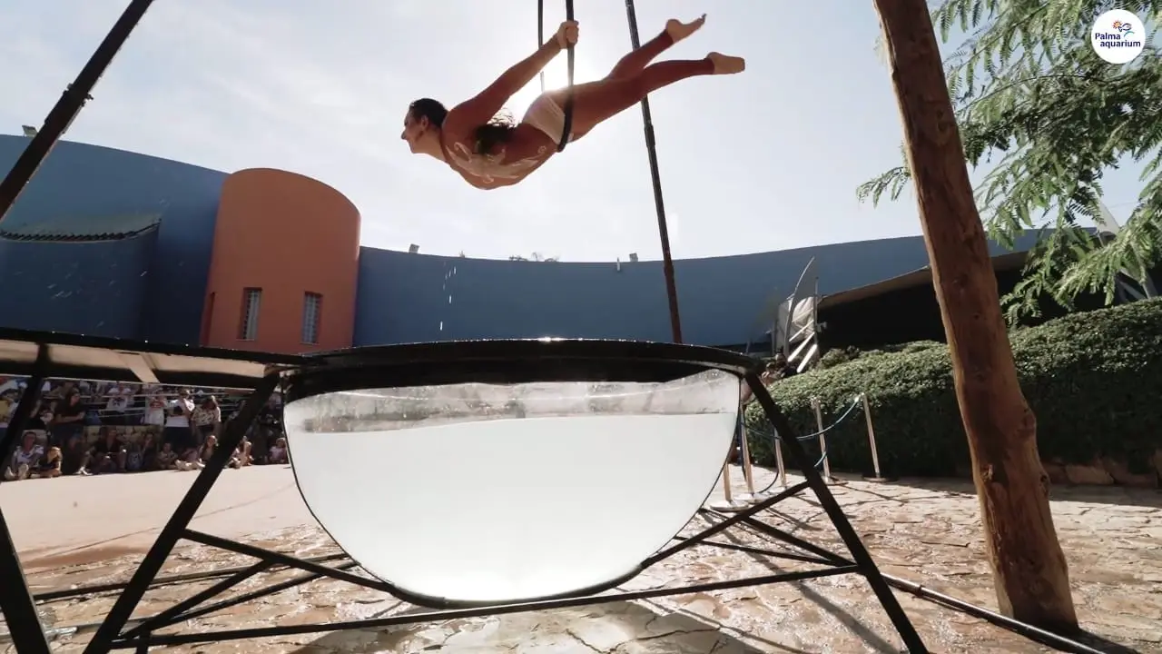 MARINA BARCEL​Ó  Artista  de Circo, Acróbata y Bailarina en el Waterbowl